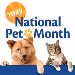 May Pet Month image