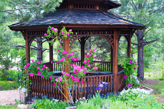 Gazebo in Flower